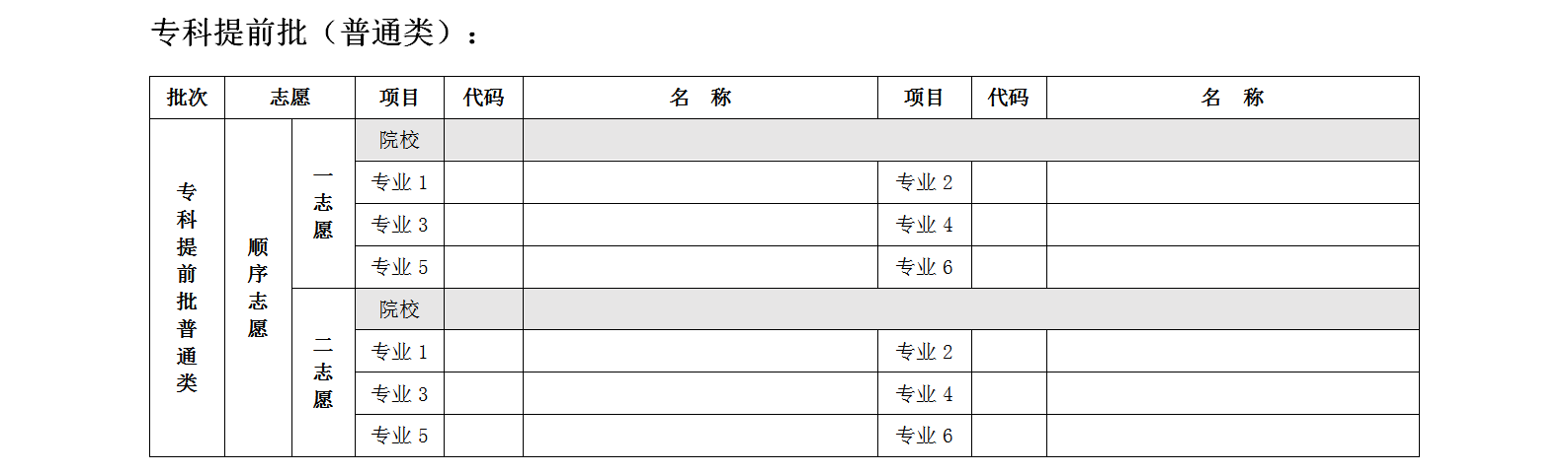 北京专科提前批志愿填报表模板